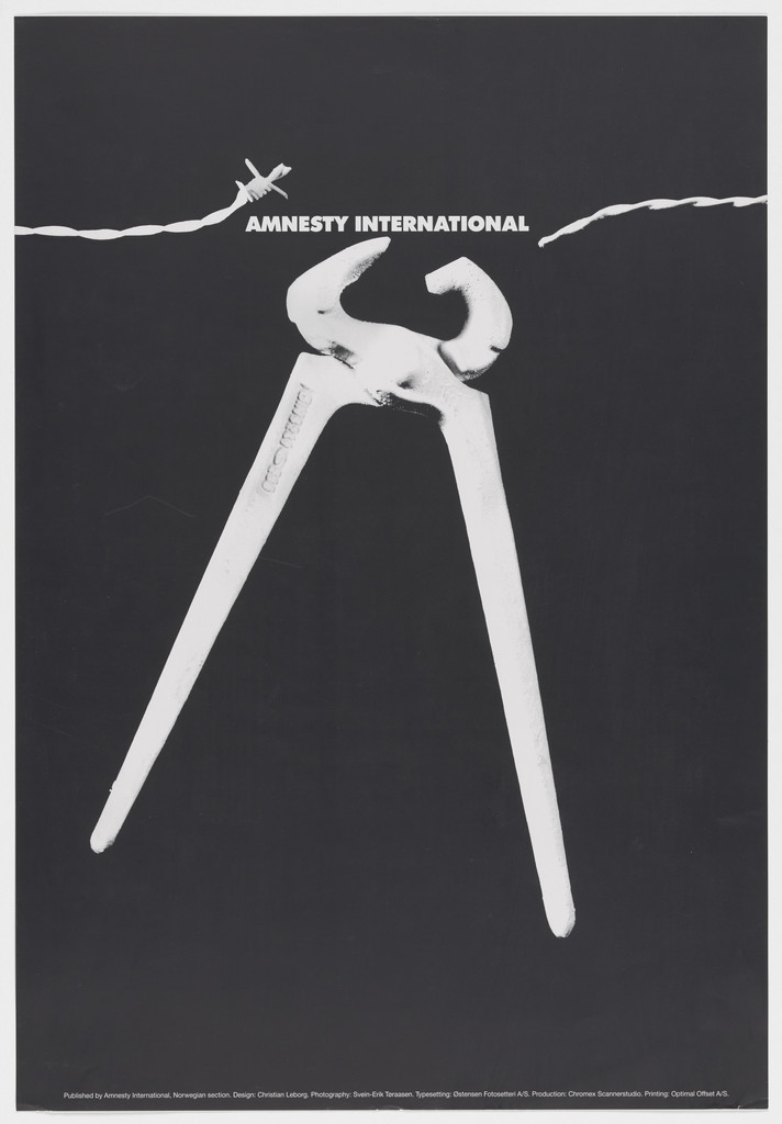 Amnesty