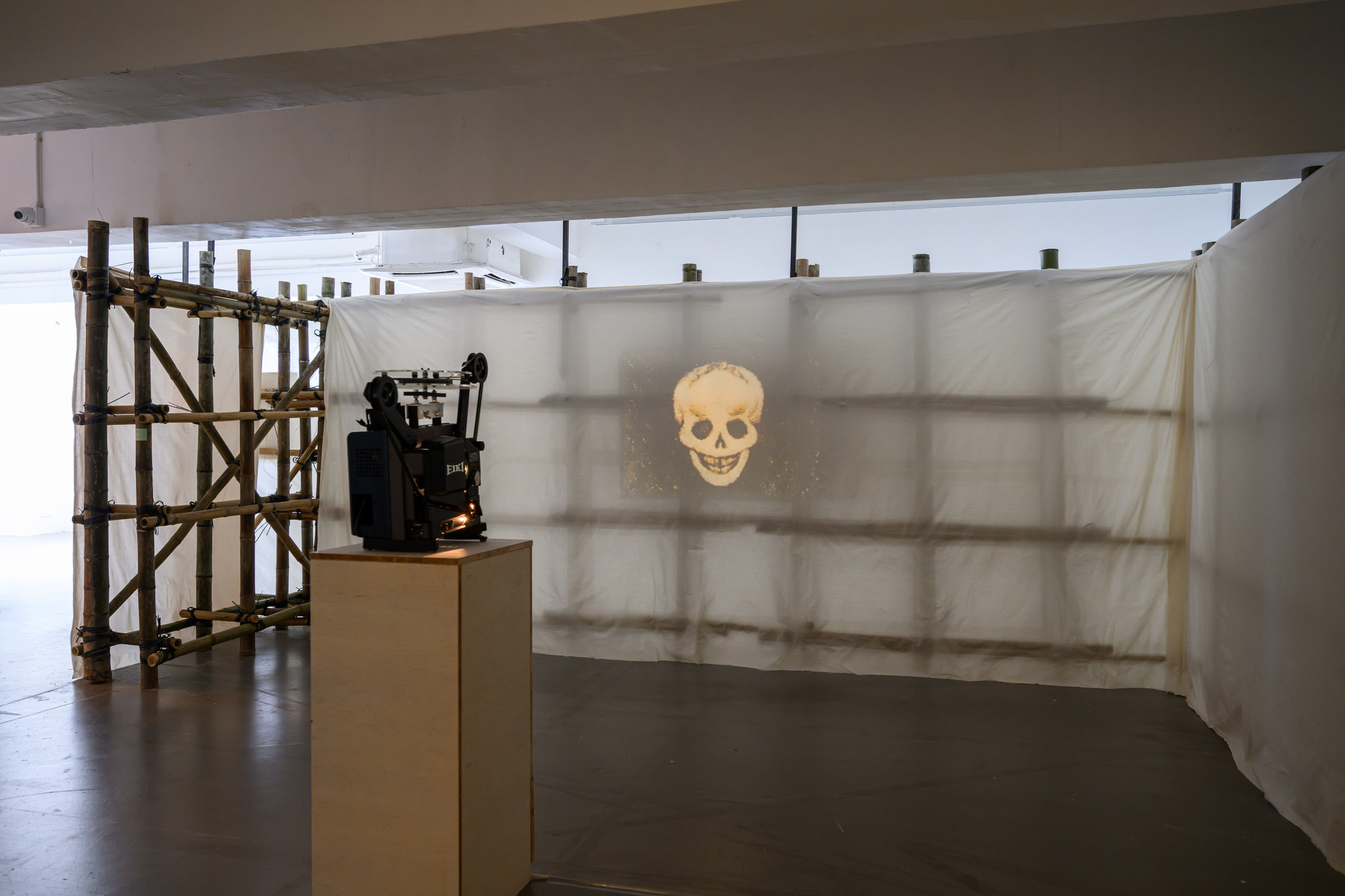 Enzo Camacho, Ami Lien. Decomposition Animation. 2023
