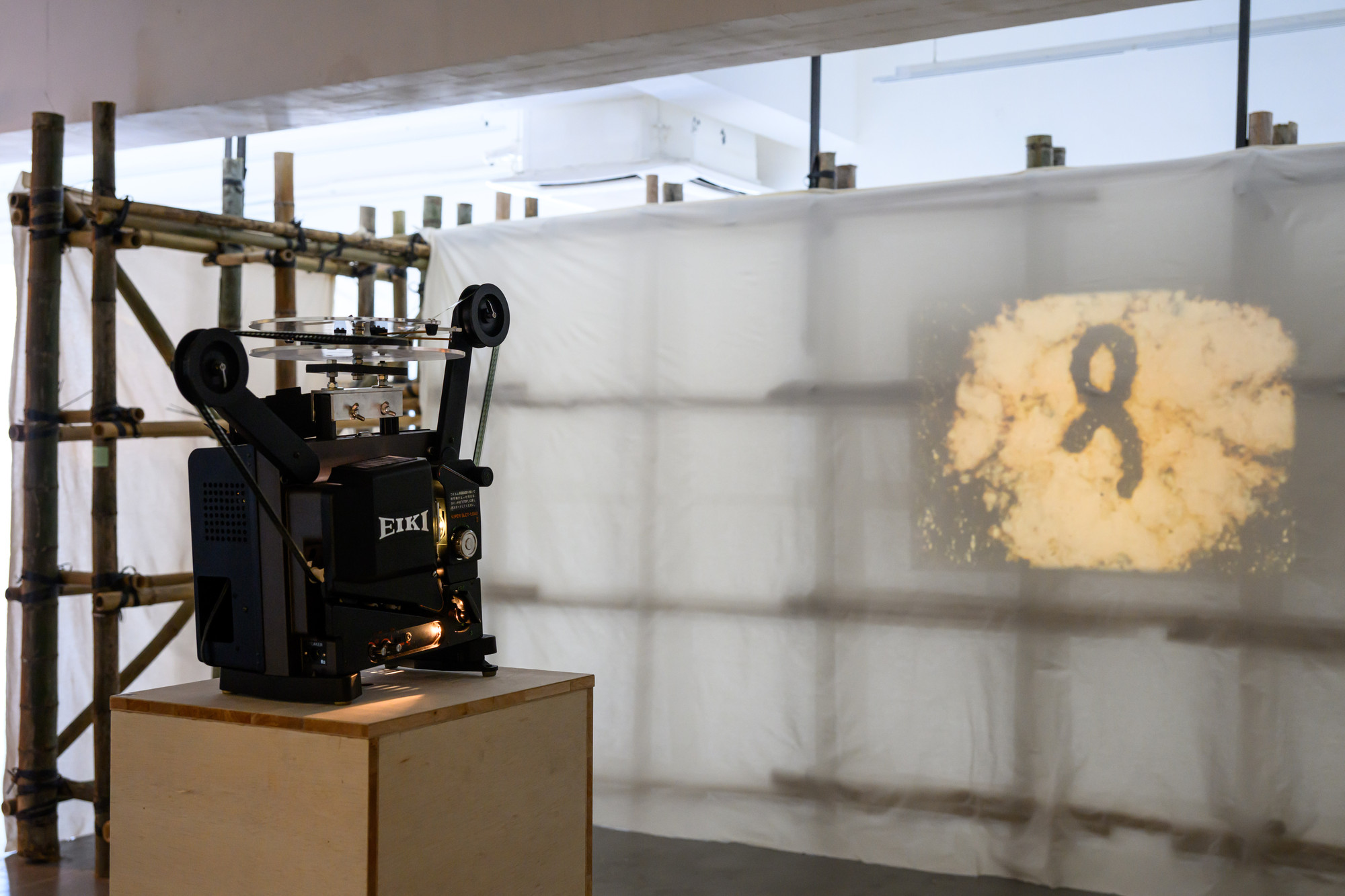 Enzo Camacho, Ami Lien. Decomposition Animation. 2023