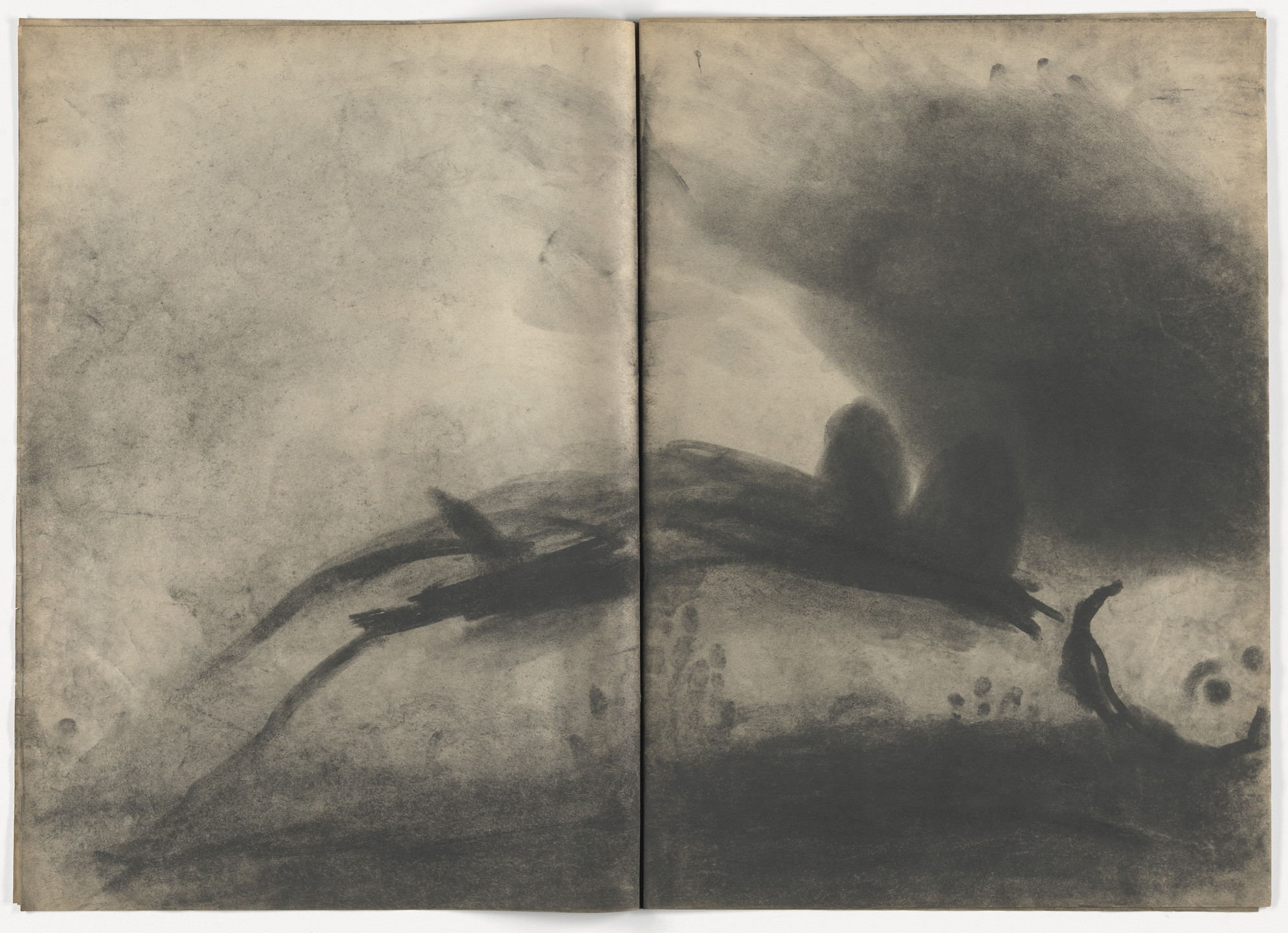 Miriam Cahn. Lesen im Staub, D.W.L. (Das Wilde Leben),. 1984