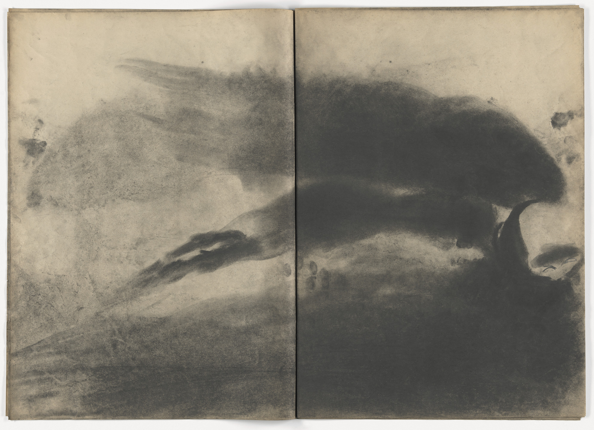 Miriam Cahn. Lesen im Staub, D.W.L. (Das Wilde Leben),. 1984