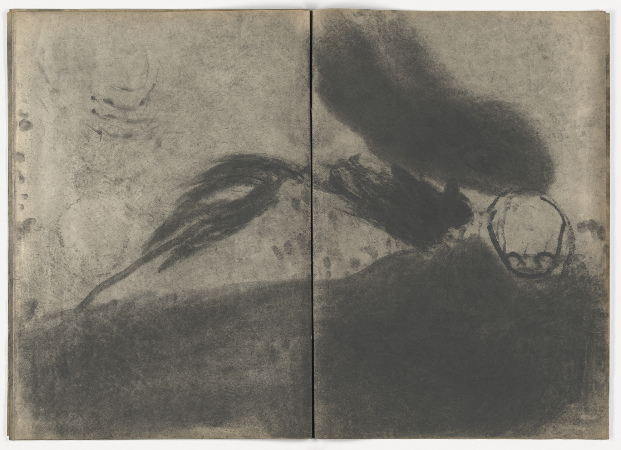 Miriam Cahn. Lesen im Staub, D.W.L. (Das Wilde Leben),. 1984