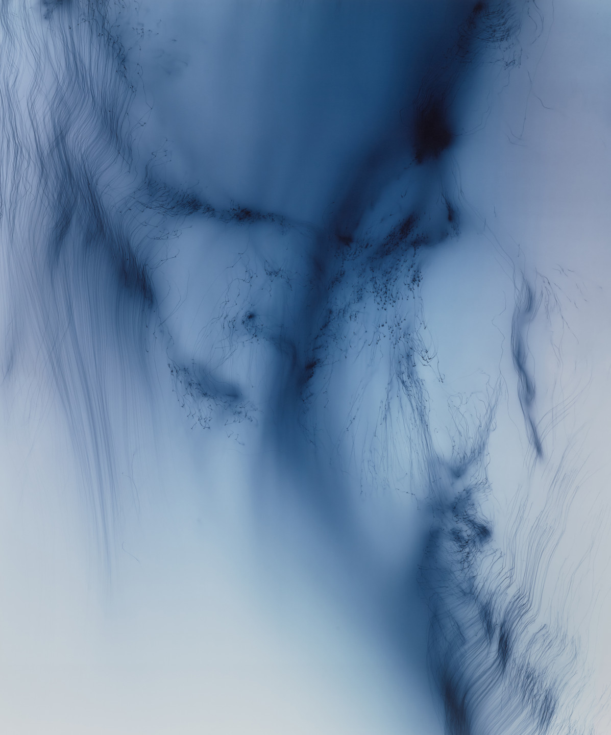 Wolfgang Tillmans. Freischwimmer 199. 2012
