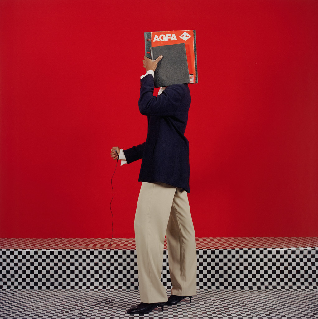 Disintegrata di profilo (Disintegrated in Profile)