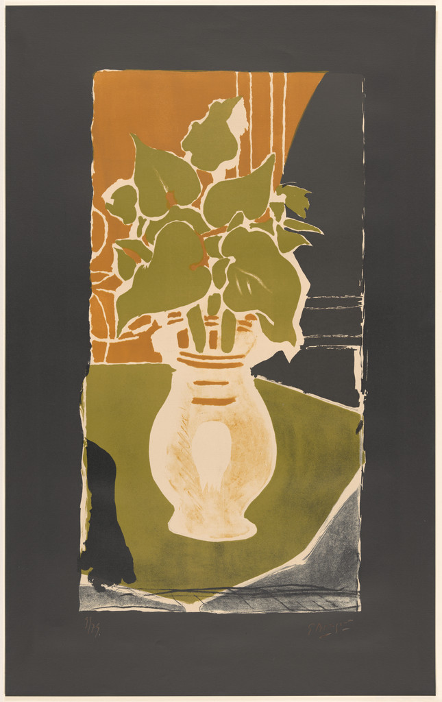 Leaves, Color, Light (Feuilles, couleur lumière)