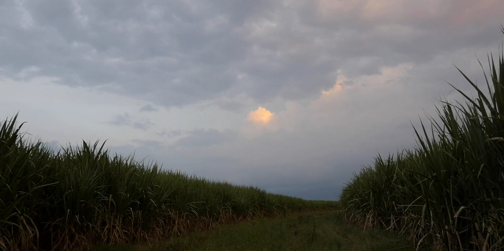 Who Is Afraid of Ideology? Part 3: Micro Resistencias