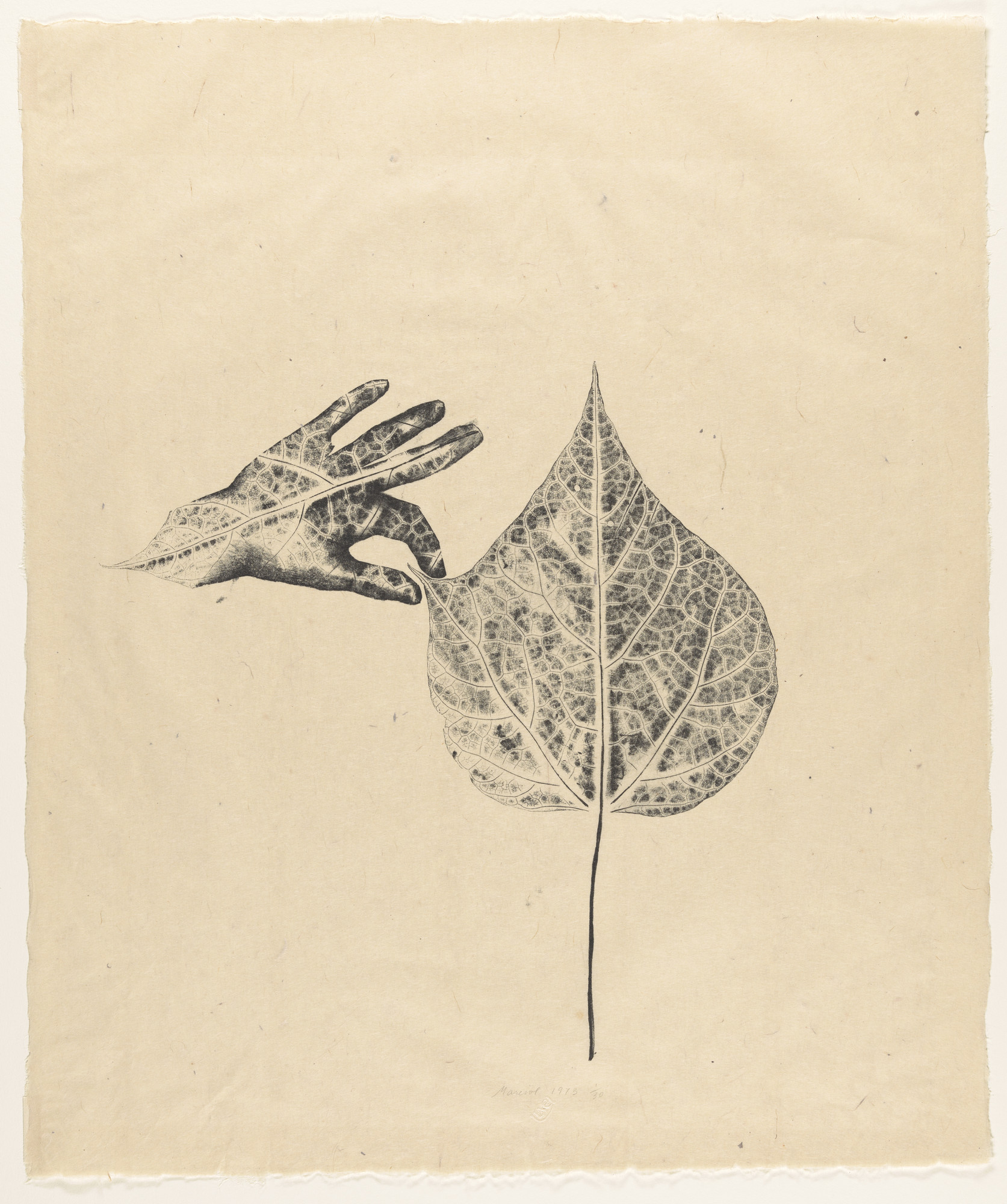 Marisol (Marisol Escobar). Hand in Leaf
