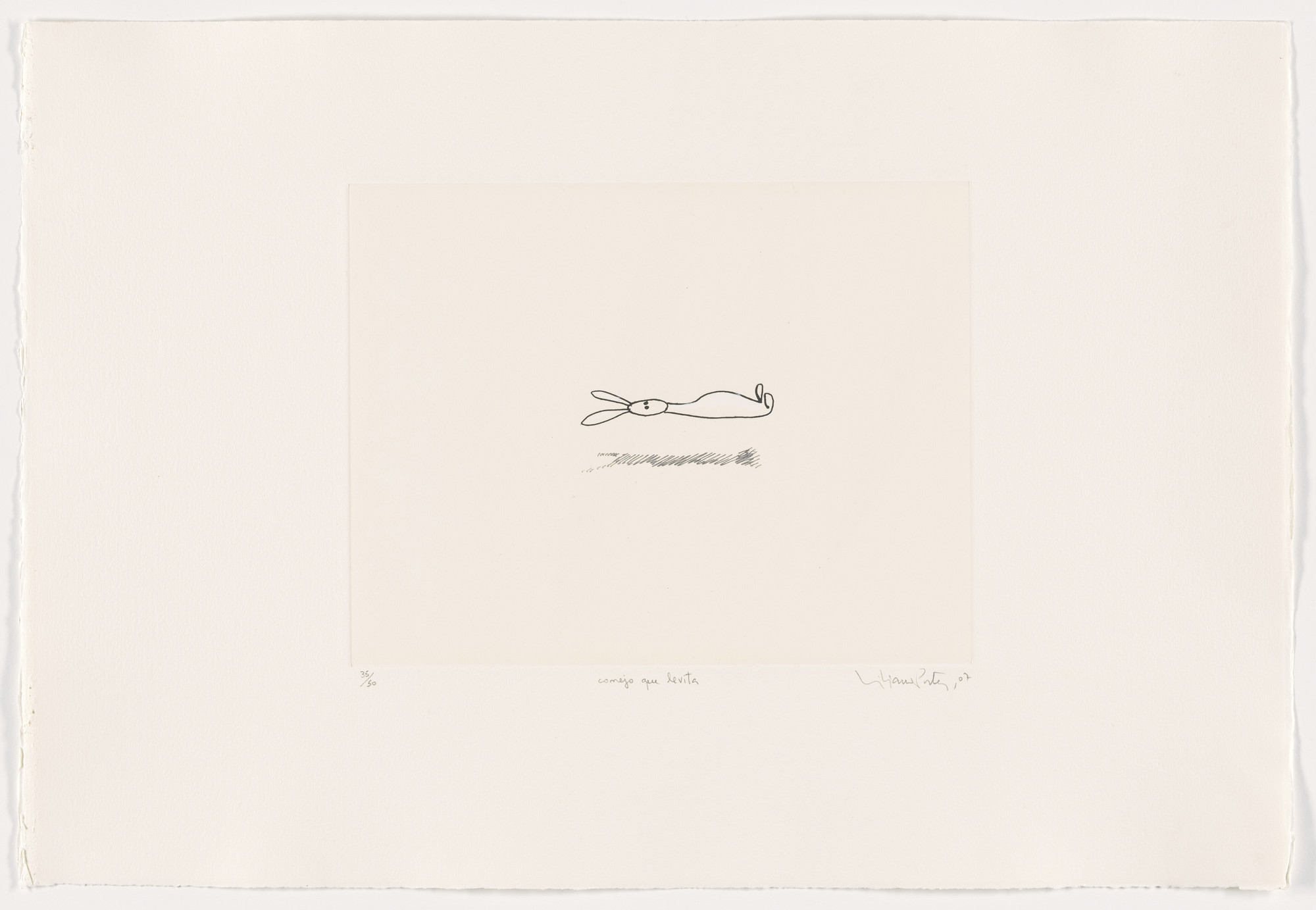 Liliana Porter. Conejo que Levita (Levitating Rabbit). 2007 | MoMA