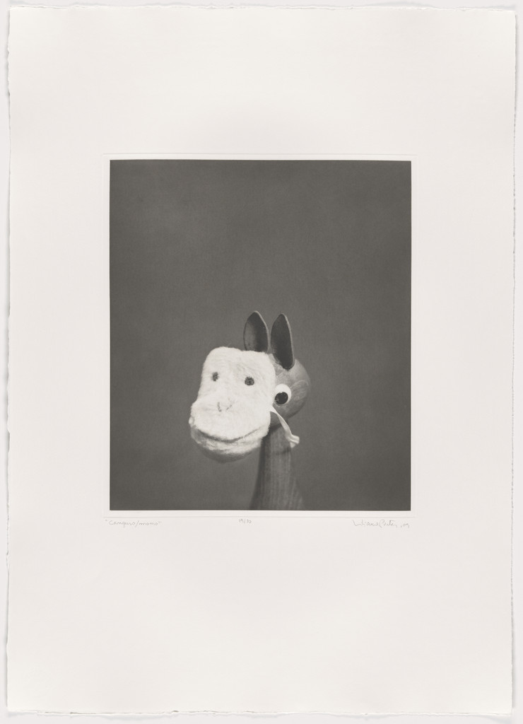 Canguro / Mono