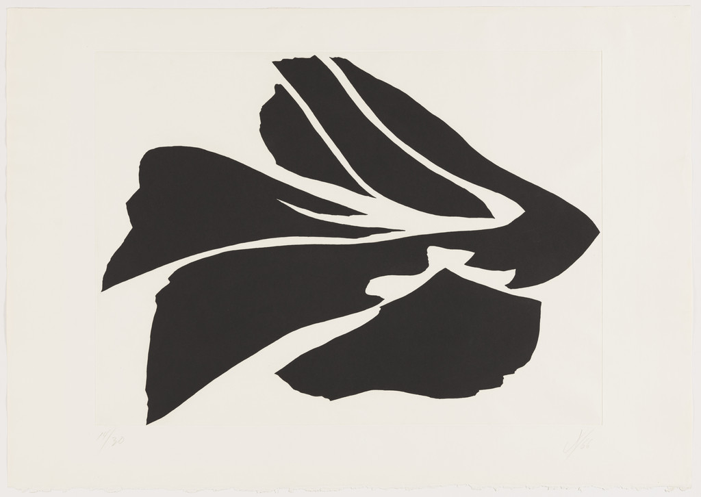 November: Black – White