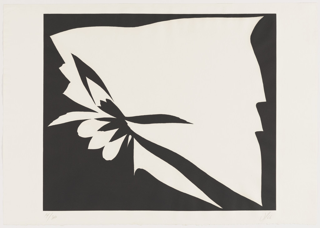 August: Black – White