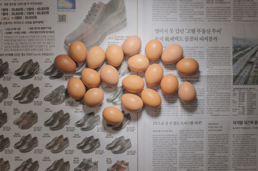 Chow and Lin, Stefen Chow, Huiyi Lin. The Poverty Line (Eggs) (Korea). 2010-2020