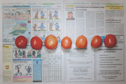 Chow and Lin, Stefen Chow, Huiyi Lin. The Poverty Line (Tomatoes) (Madagascar). 2010-2020