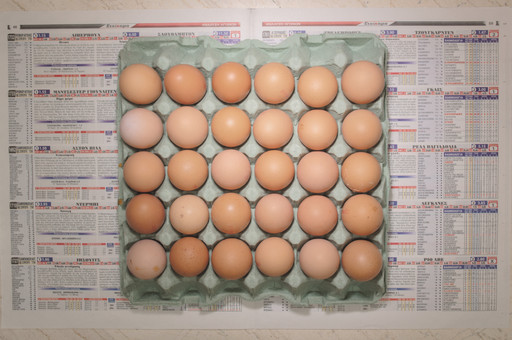 Chow and Lin, Stefen Chow, Huiyi Lin. The Poverty Line (Eggs) (Greece). 2010-2020