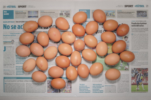 Chow and Lin, Stefen Chow, Huiyi Lin. The Poverty Line (Eggs) (Spain). 2010-2020