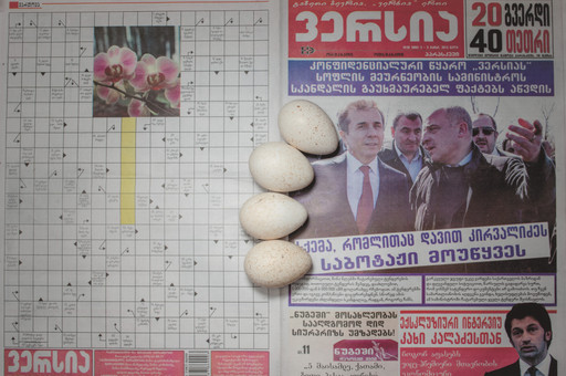 Chow and Lin, Stefen Chow, Huiyi Lin. The Poverty Line (Eggs) (Georgia). 2010-2020