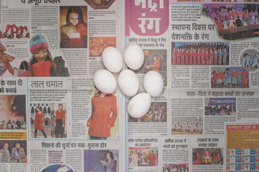 Chow and Lin, Stefen Chow, Huiyi Lin. The Poverty Line (Eggs) (India). 2010-2020
