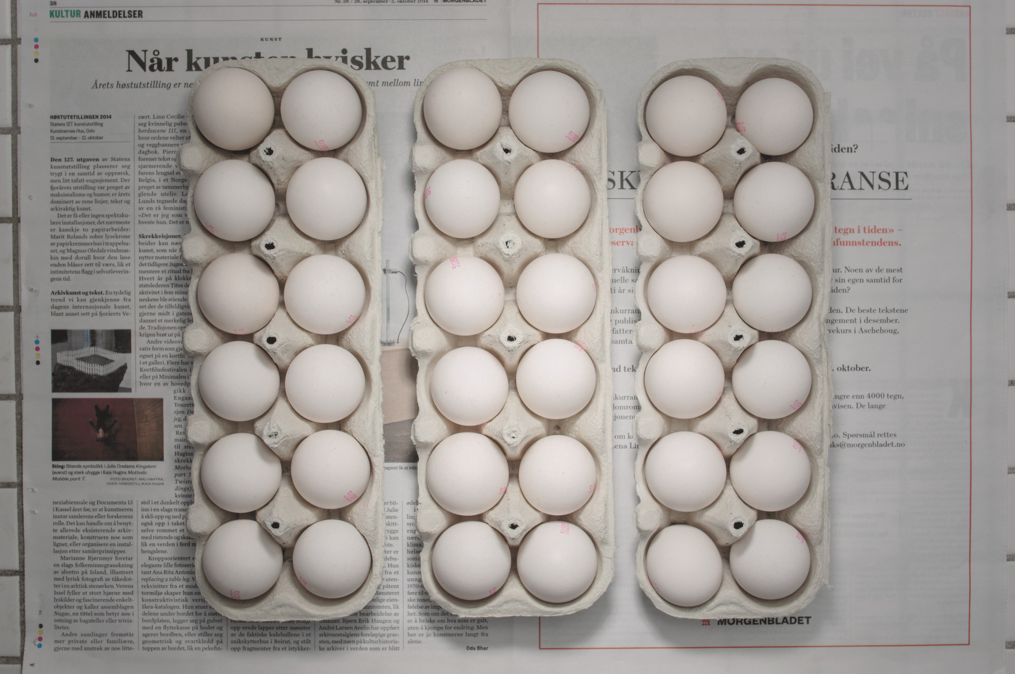Chow and Lin, Stefen Chow, Huiyi Lin. The Poverty Line (Eggs) (Norway). 2010-2020