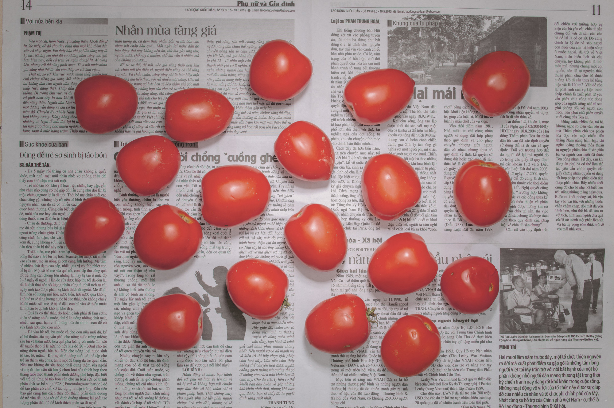 Chow and Lin, Stefen Chow, Huiyi Lin. The Poverty Line (Tomatoes) (Vietnam). 2010-2020