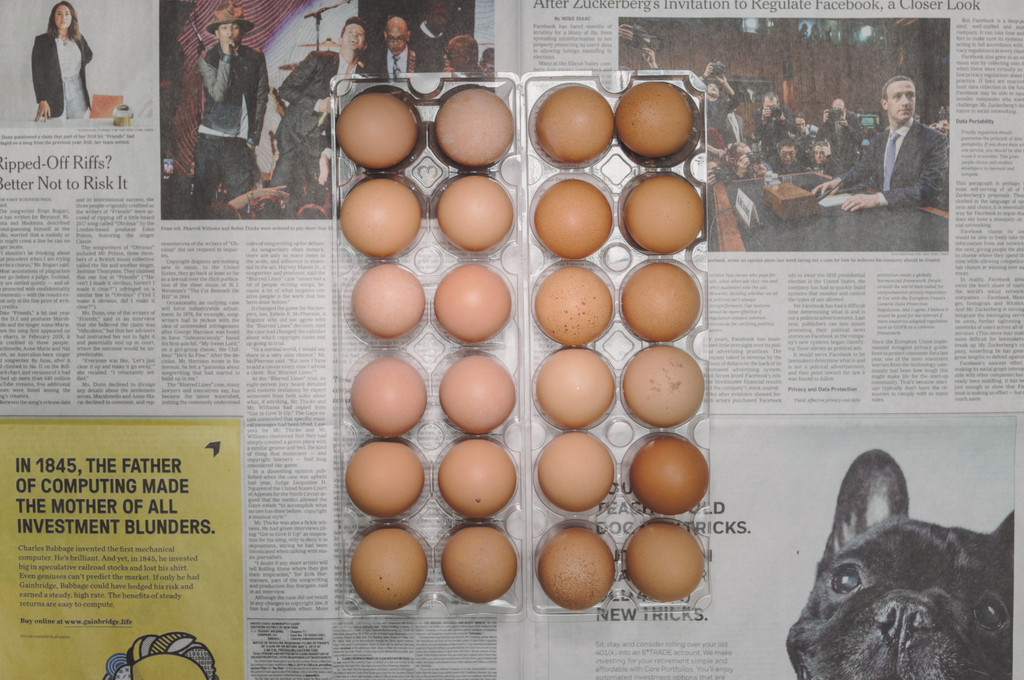 The Poverty Line (Eggs) (United States of America)