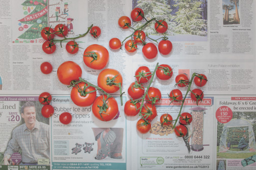 Chow and Lin, Stefen Chow, Huiyi Lin. The Poverty Line (Tomatoes) (United Kingdom). 2010-2020