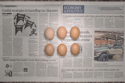 Chow and Lin, Stefen Chow, Huiyi Lin. The Poverty Line (Eggs) (Kenya). 2010-2020