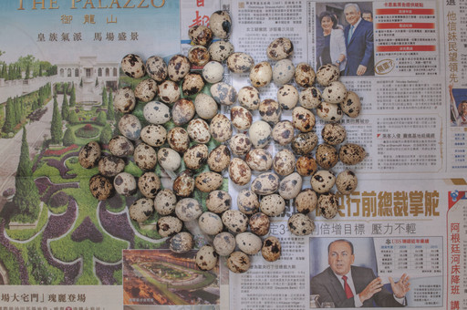 Chow and Lin, Stefen Chow, Huiyi Lin. The Poverty Line (Eggs) (Hong Kong). 2010-2020
