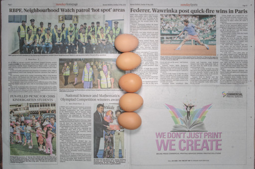 Chow and Lin, Stefen Chow, Huiyi Lin. The Poverty Line (Eggs) (Brunei). 2010-2020