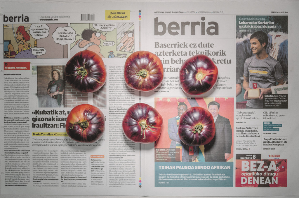 The Poverty Line (Tomatoes) (Spain)