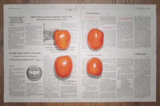 Chow and Lin, Stefen Chow, Huiyi Lin. The Poverty Line (Tomatoes) (Ethiopia). 2010-2020