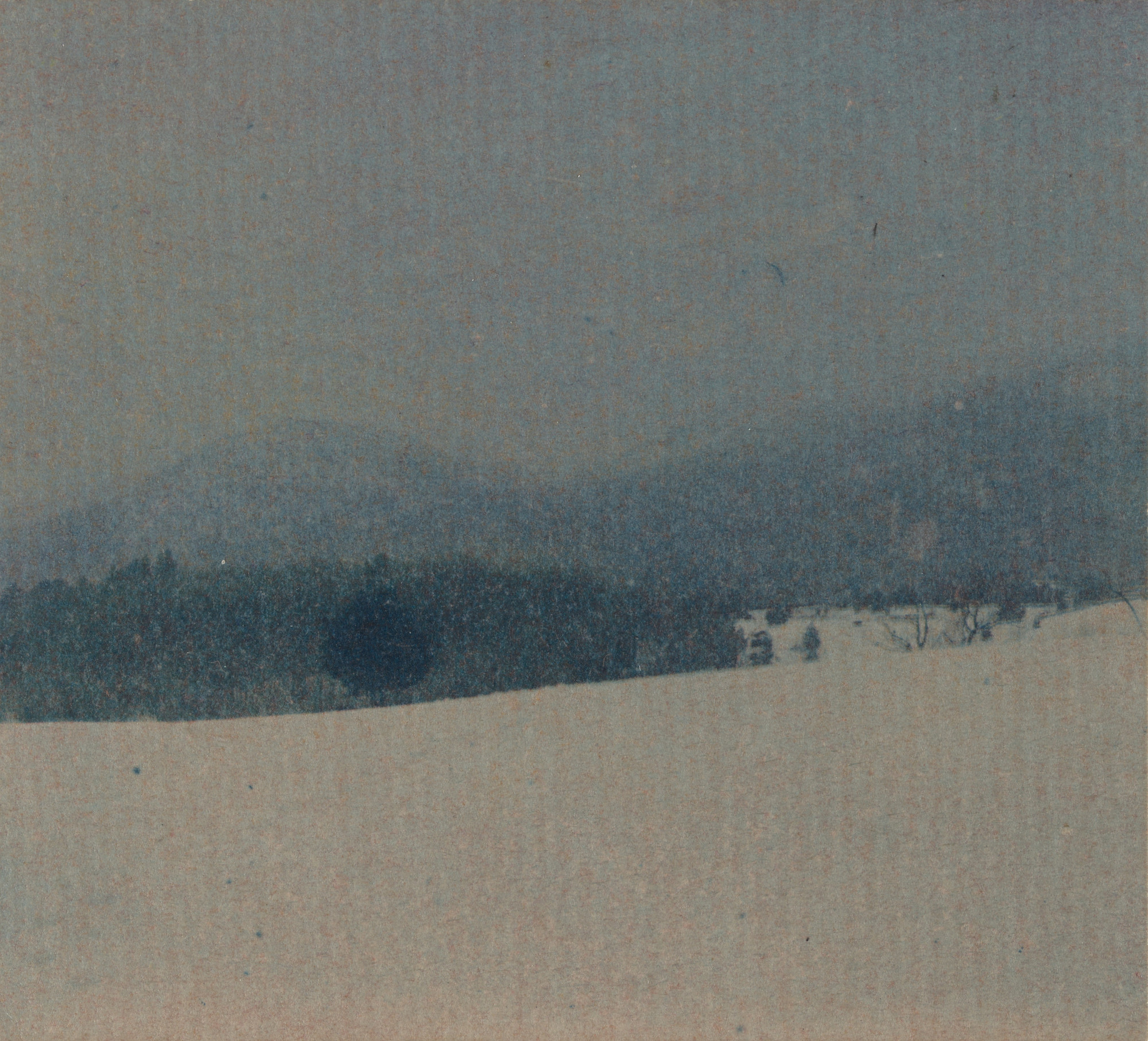 Edward Steichen. Winter Landscape Lake George