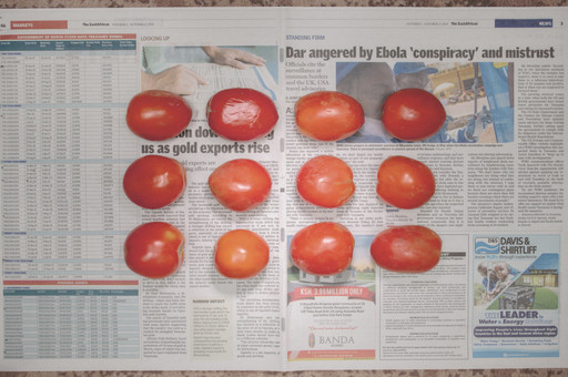 Chow and Lin, Stefen Chow, Huiyi Lin. The Poverty Line (Tomatoes) (Kenya). 2010-2020