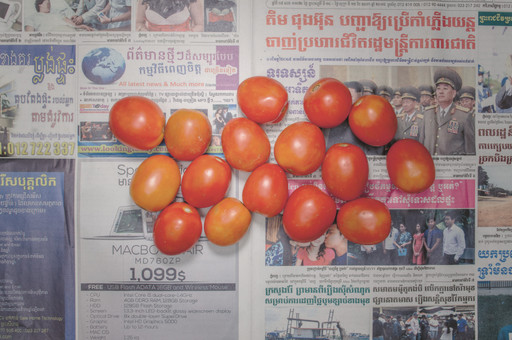Chow and Lin, Stefen Chow, Huiyi Lin. The Poverty Line (Tomatoes) (Cambodia). 2010-2020
