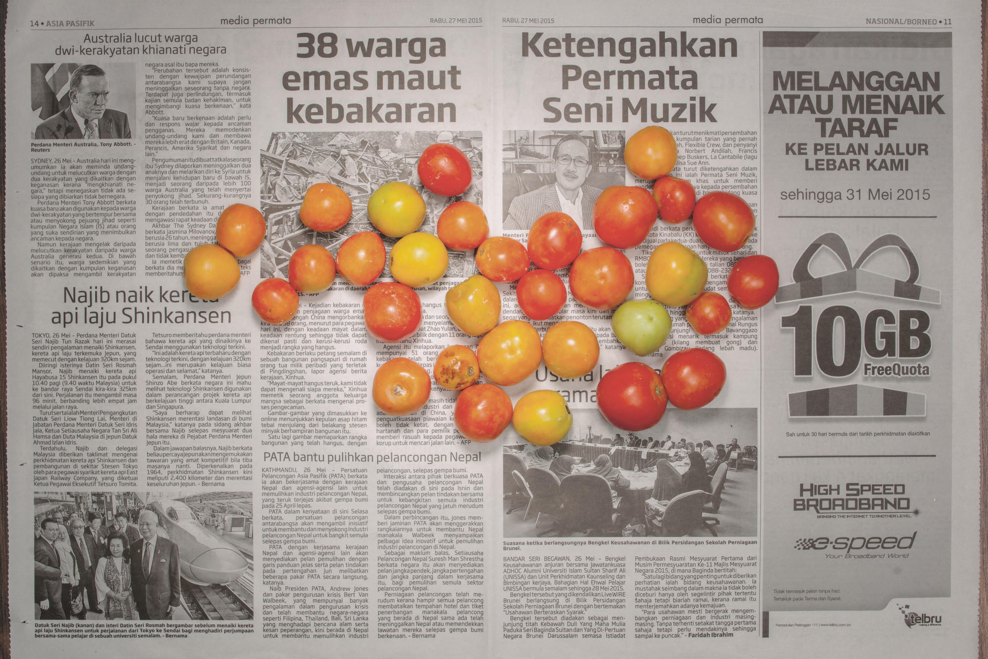 Chow and Lin, Stefen Chow, Huiyi Lin. The Poverty Line (Tomatoes) (Brunei). 2010-2020