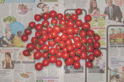 Chow and Lin, Stefen Chow, Huiyi Lin. The Poverty Line (Tomatoes) (Turkey). 2010-2020