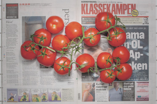 Chow and Lin, Stefen Chow, Huiyi Lin. The Poverty Line (Tomatoes) (Norway). 2010-2020