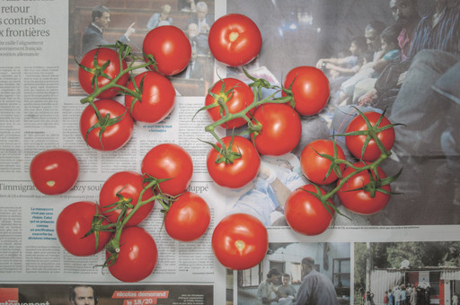 Chow and Lin, Stefen Chow, Huiyi Lin. The Poverty Line (Tomatoes) (France). 2010-2020