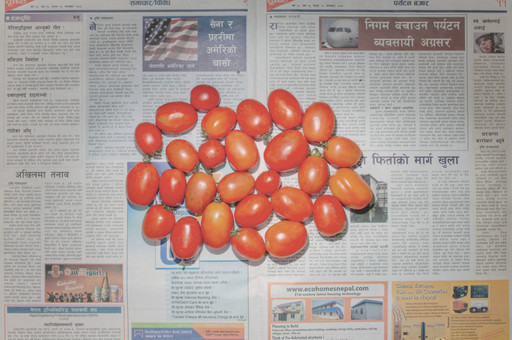 Chow and Lin, Stefen Chow, Huiyi Lin. The Poverty Line (Tomatoes) (Nepal). 2010-2020