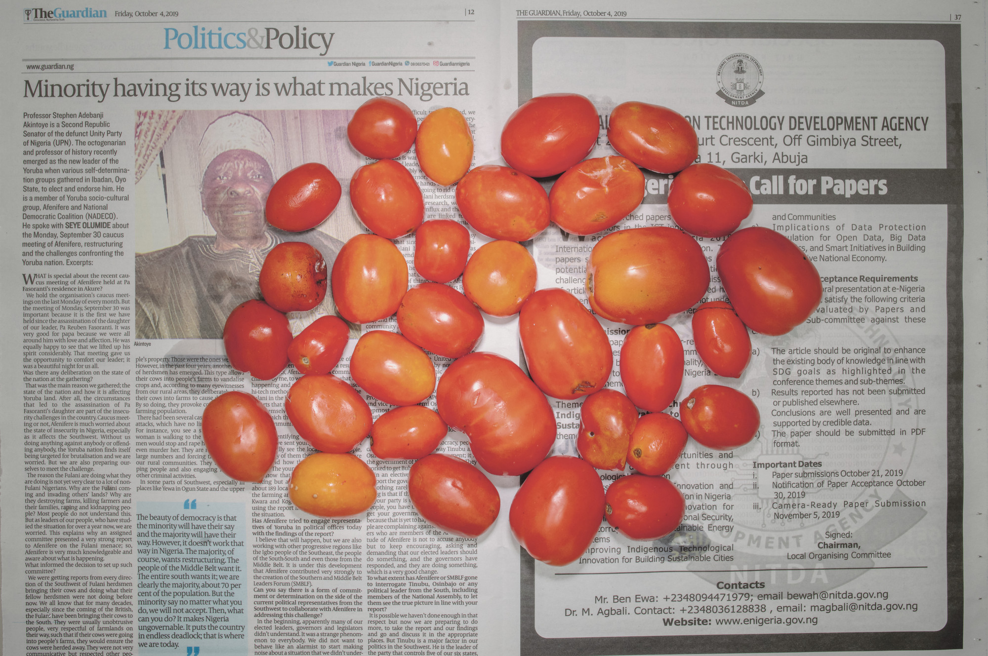 Chow and Lin, Stefen Chow, Huiyi Lin. The Poverty Line (Tomatoes) (Nigeria). 2010-2020