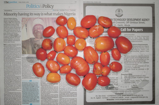 Chow and Lin, Stefen Chow, Huiyi Lin. The Poverty Line (Tomatoes) (Nigeria). 2010-2020