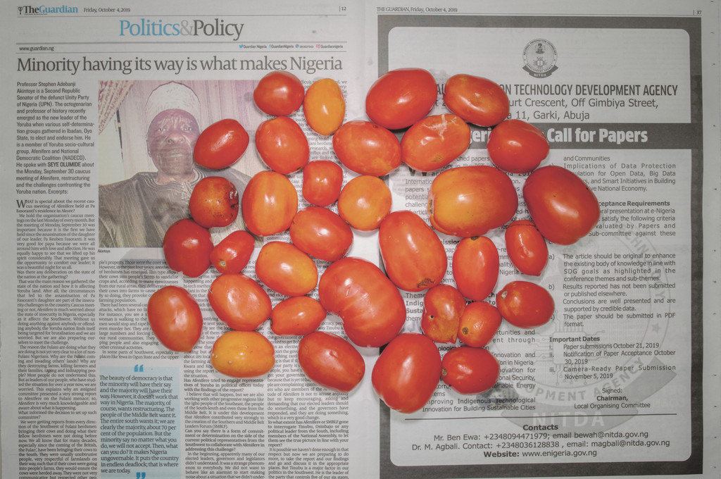 The Poverty Line (Tomatoes) (Nigeria)