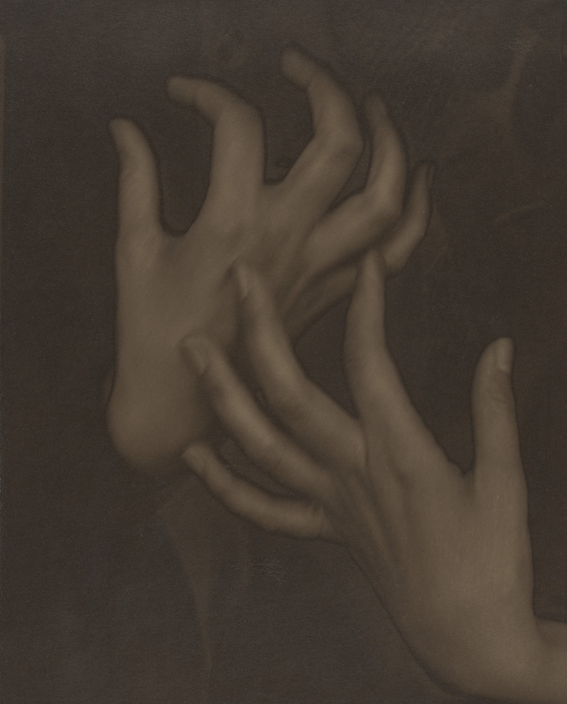 Alfred Stieglitz. Georgia O&#39;Keeffe - Hands. 1919