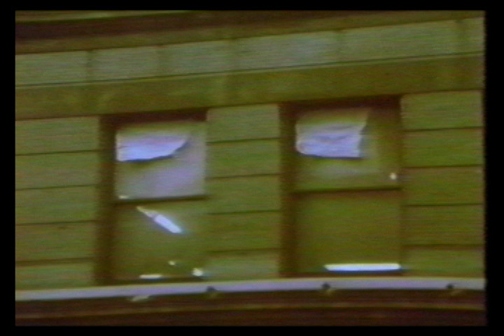 Jaime Davidovich. Windows