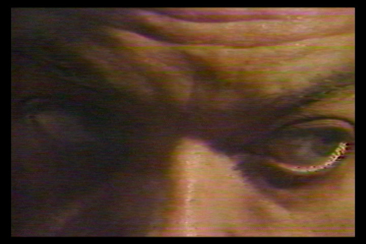 Saludos Amigos: Dr. Videovich Goes to Texas