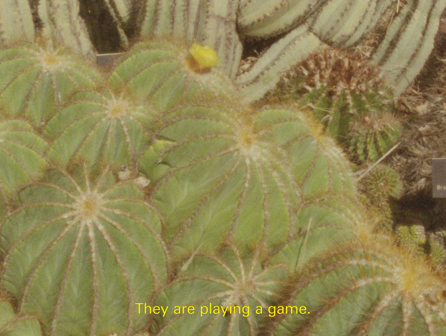 Words, Planets