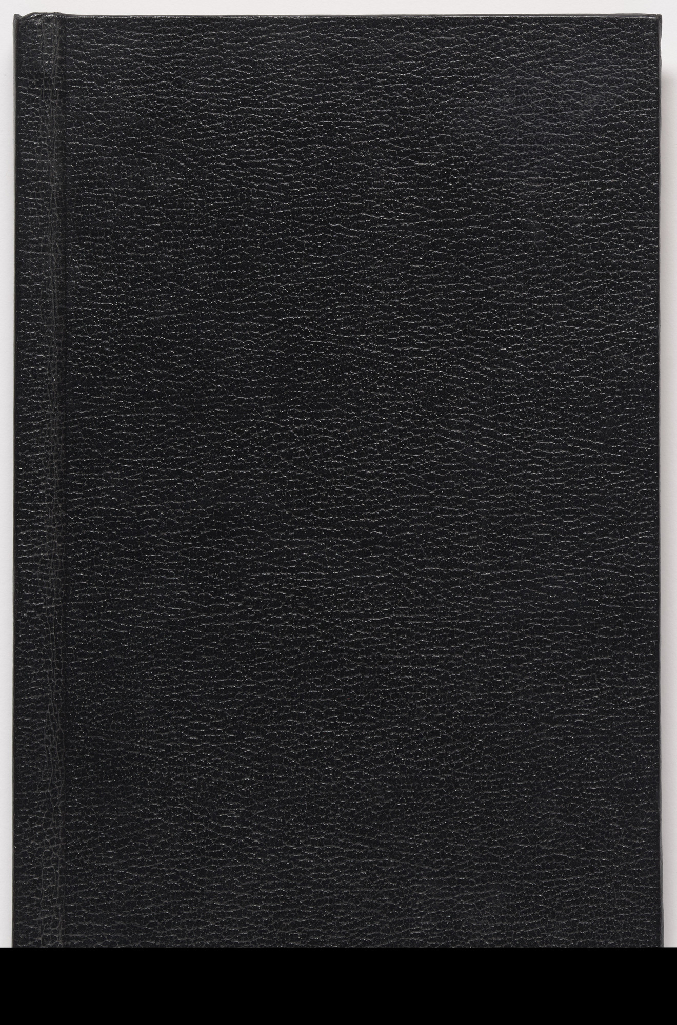 Lauretta Vinciarelli. untitled (sketchbook)