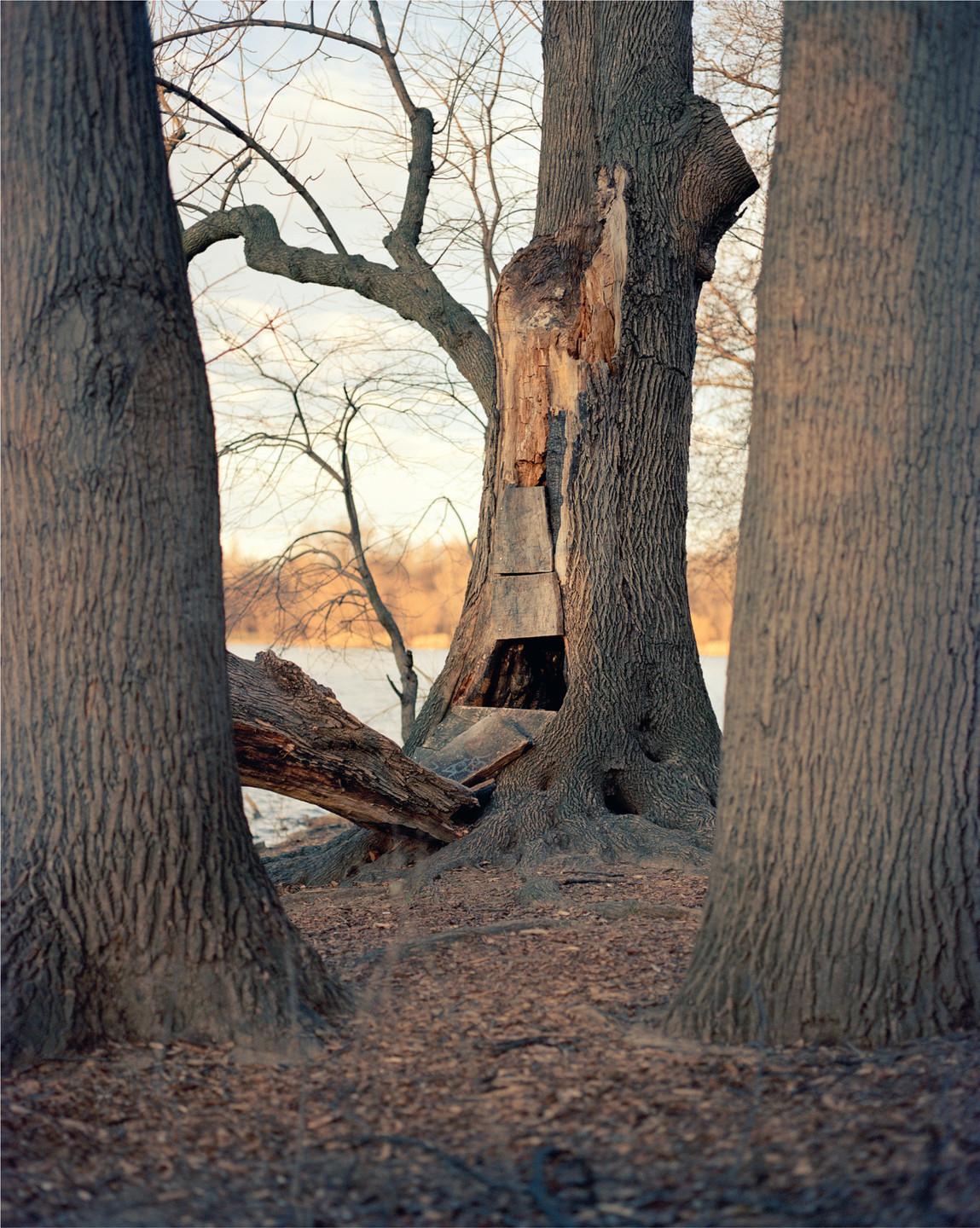 Irina Rozovsky. Untitled from the series In Plain Air