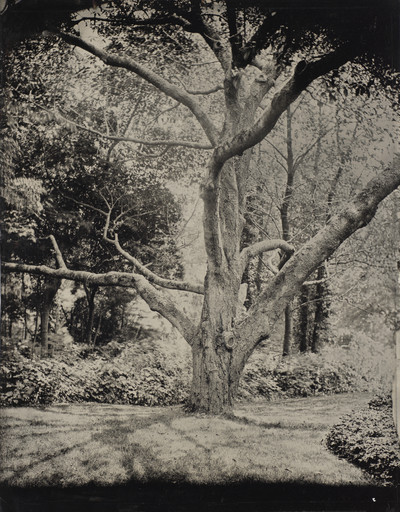 Nate Gibbons. Untitled. 2002