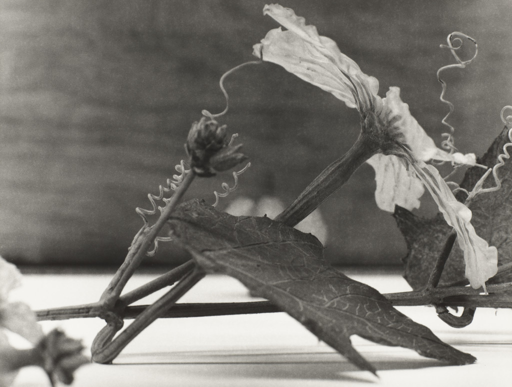 Angola to Vietnam* (Vietnam)