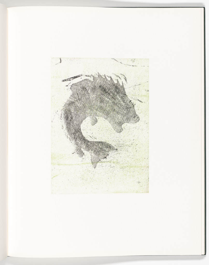 Flipping (plate, folio 4) from Flipping Kicking Howling Rolling Sitting Standing Climbing Telling